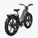 Fiido Titan Cargo Electric Bike