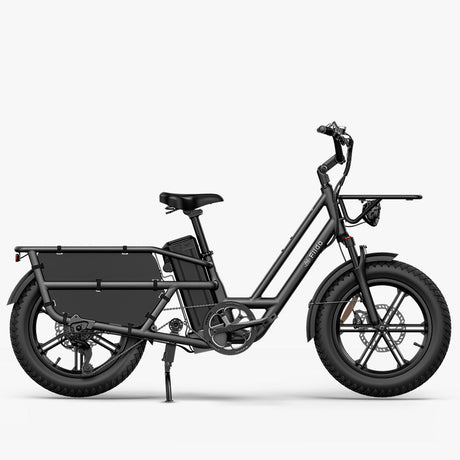 Fiido T2 Cargo Utility Electric Bike