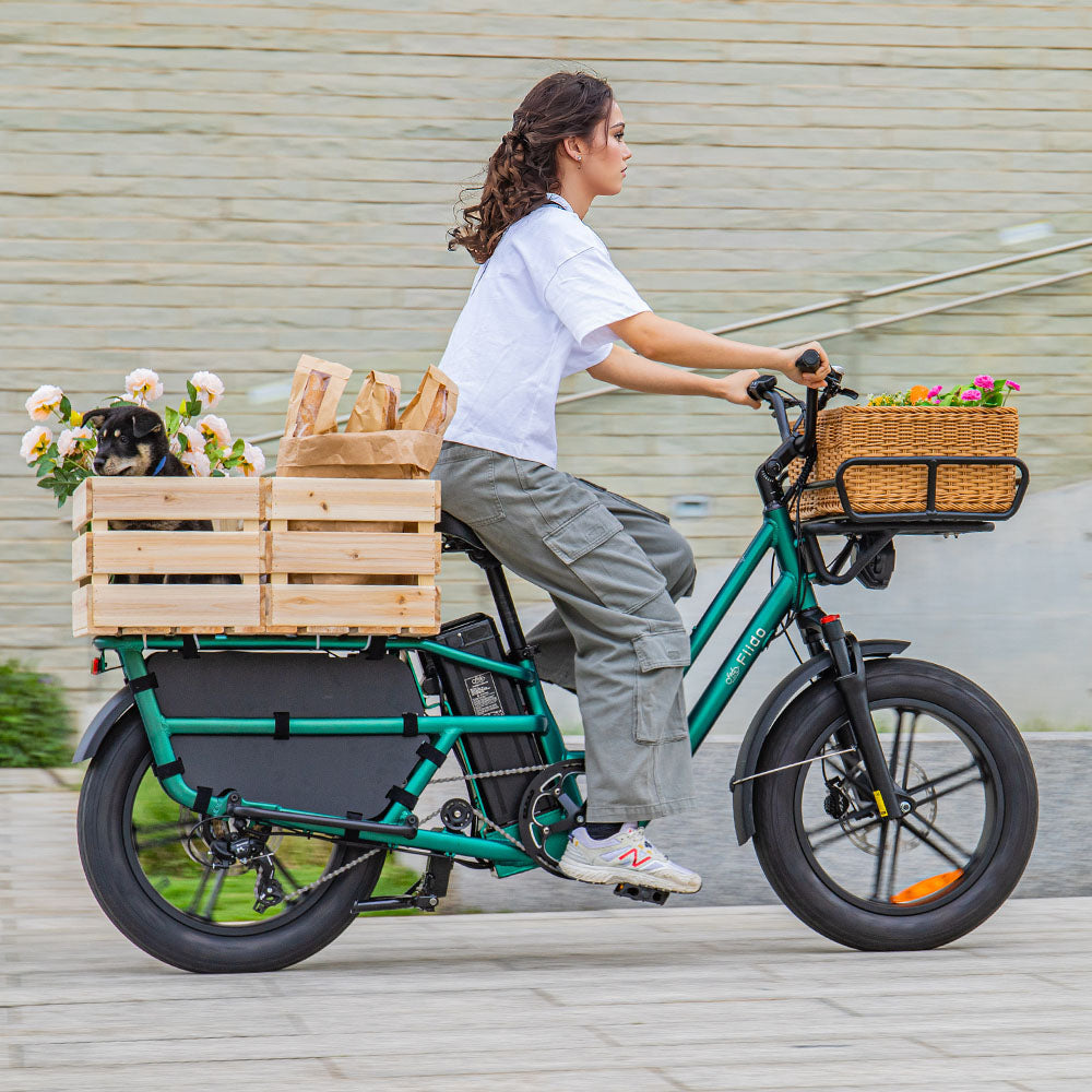 Fiido T2 Cargo Utility Electric Bike