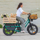 Fiido T2 Cargo Utility Electric Bike