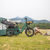 Fiido T2 Cargo Utility Electric Bike