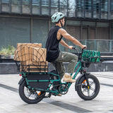 Fiido T2 Cargo Utility Electric Bike