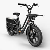 Fiido T2 Cargo Utility Electric Bike