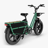 Fiido T2 Cargo Utility Electric Bike