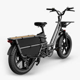 Fiido T2 Cargo Utility Electric Bike